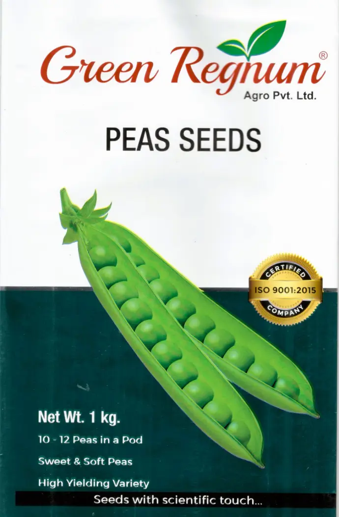PEA SEEDS VARIETY GR-10 BARAK-10