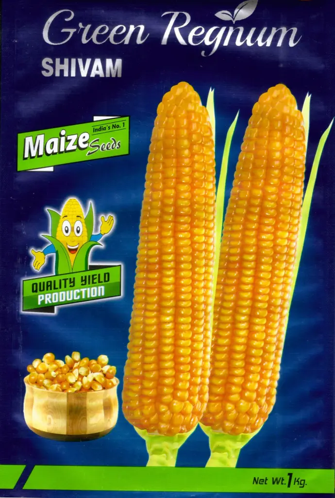 MAIZE SEEDS VARIETY SHIVAM