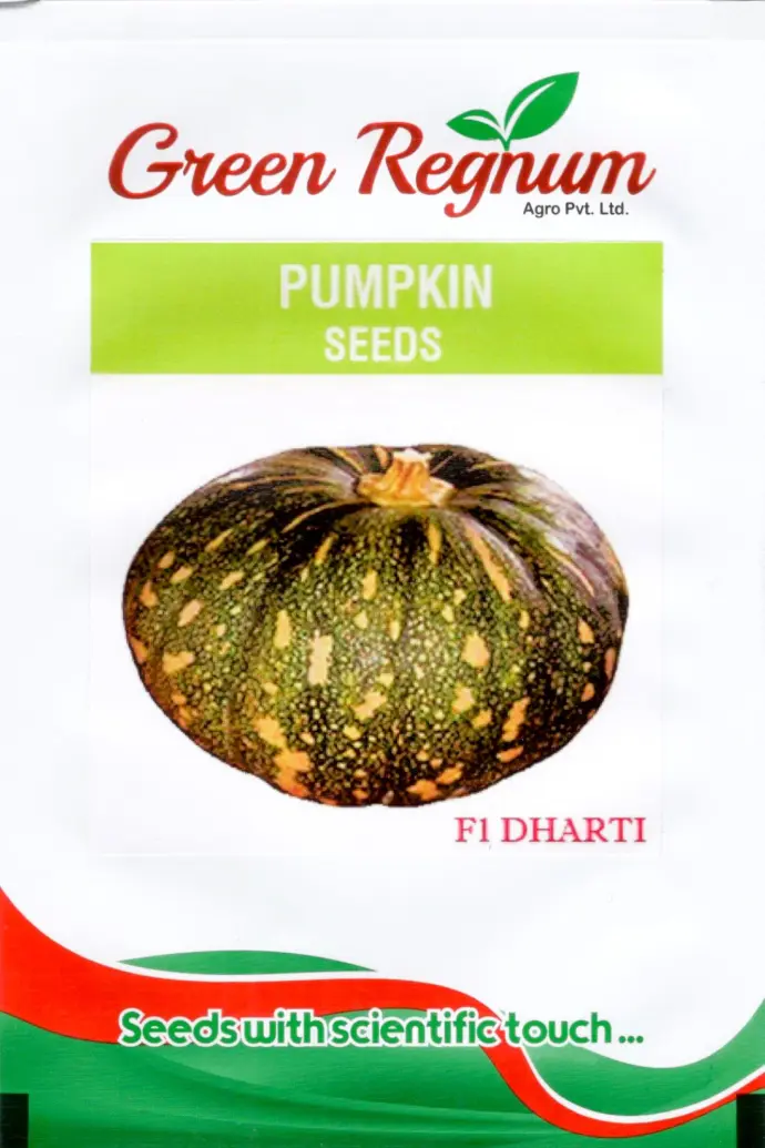 PUMPKIN SEEDS