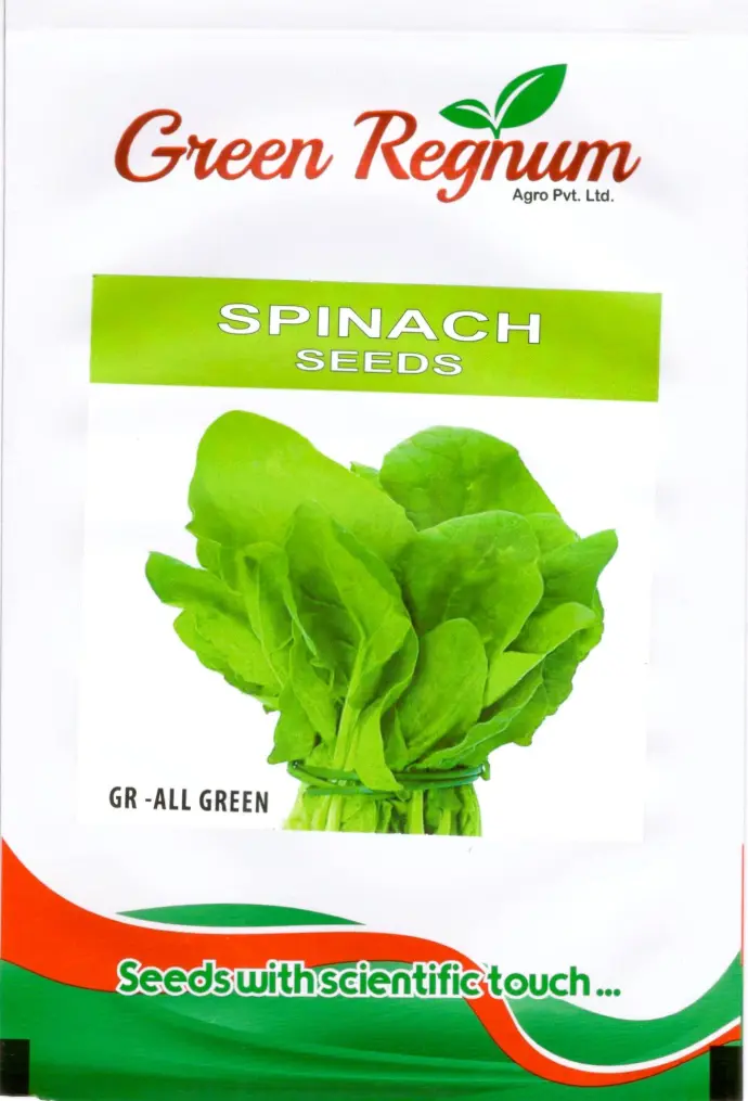 SPINACH SEEDS